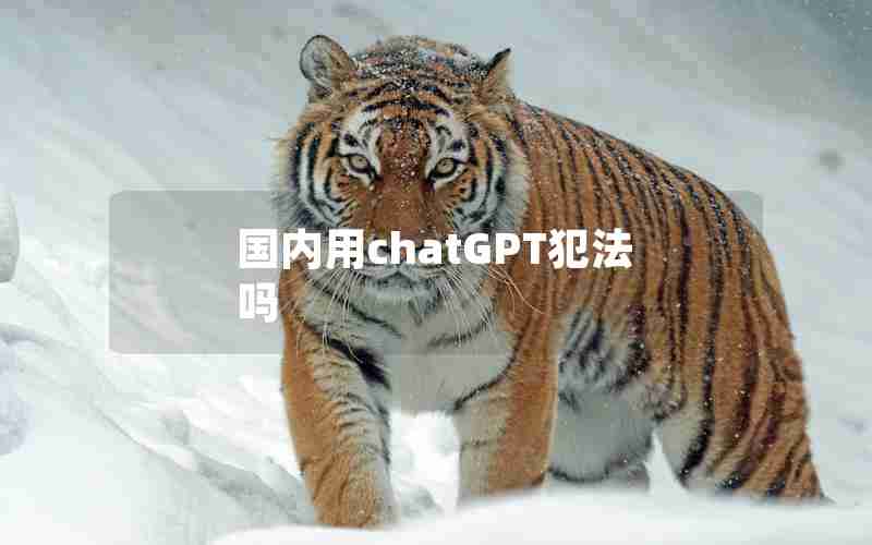 国内用chatGPT犯法吗
