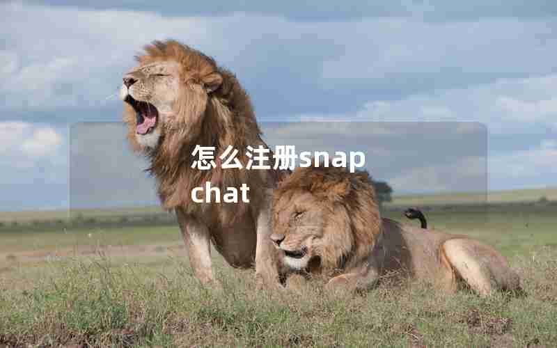怎么注册snap chat 怎么注册snap chat