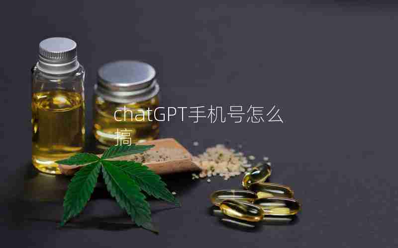 chatGPT手机号怎么搞