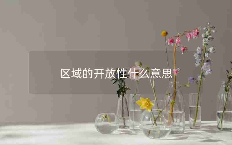 区域的开放性什么意思