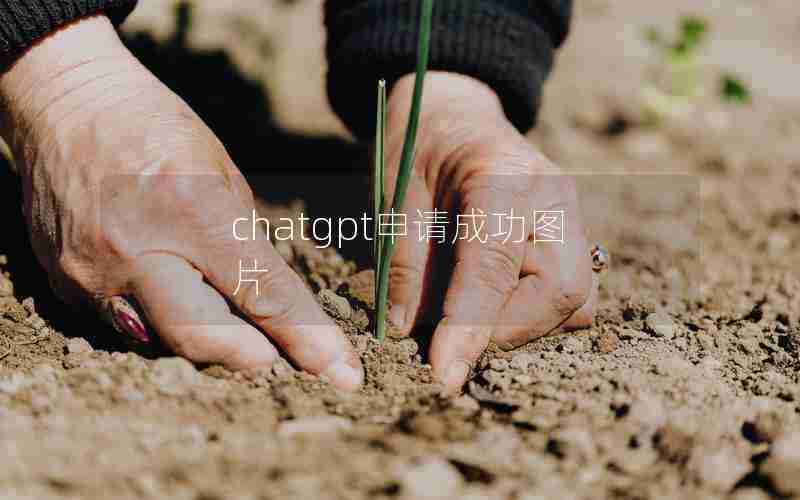 chatgpt申请成功图片 chatgpt申请成功图片