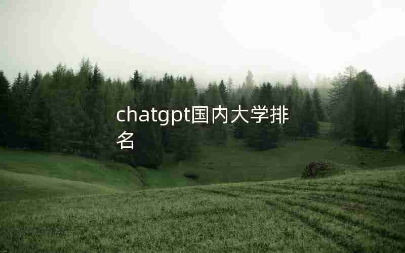 chatgpt国内大学排名