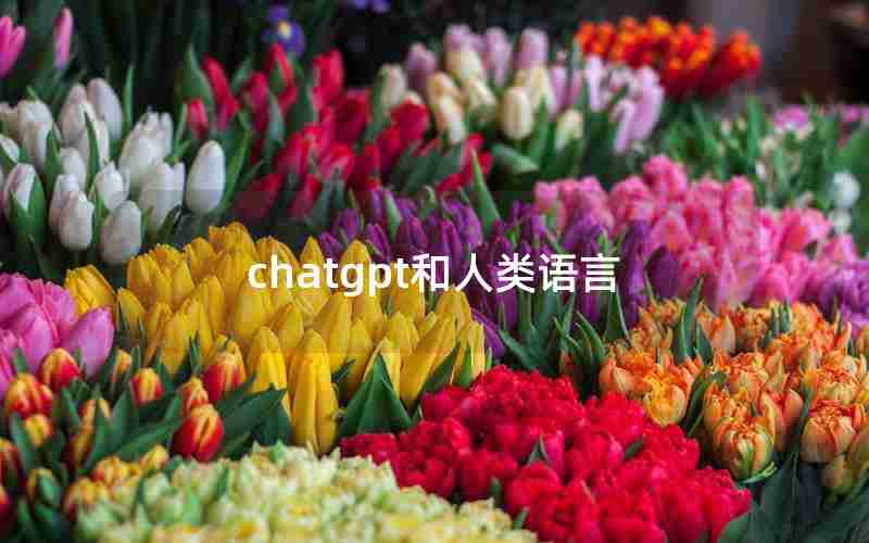 chatgpt和人类语言 chatgpt和人类语言