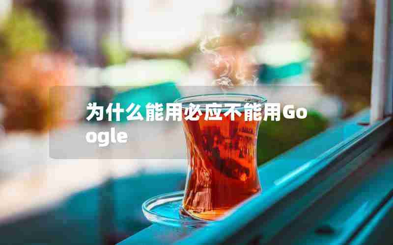 为什么能用必应不能用Google 为什么能用必应不能用Google