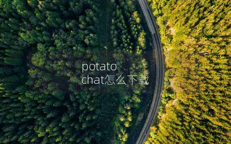potato chat怎么下载