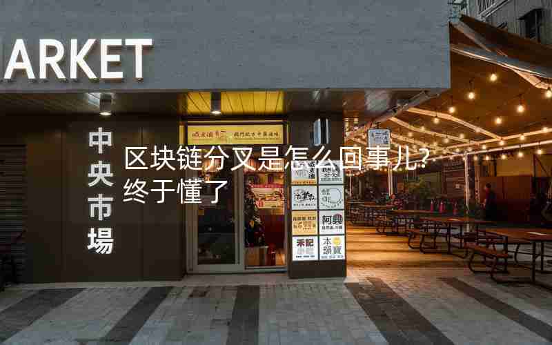 区块链分叉是怎么回事儿?终于懂了