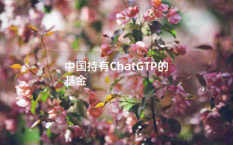 中国持有ChatGTP的基金