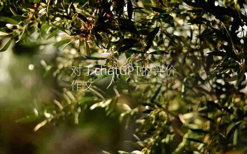 对于chatGPT的评价作文