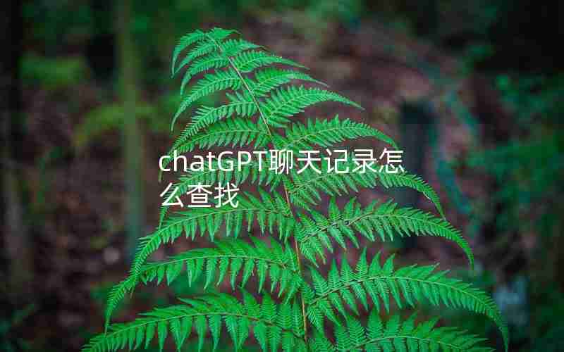 chatGPT聊天记录怎么查找 chatGPT聊天记录怎么查找