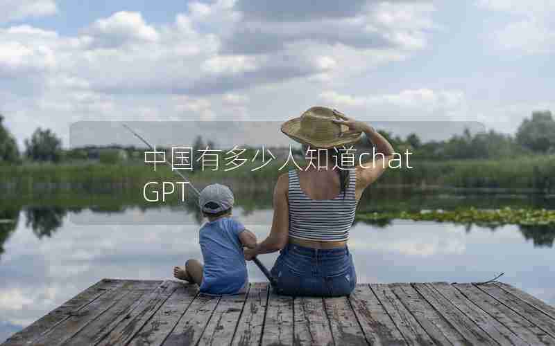 中国有多少人知道chatGPT 中国有多少人知道chatGPT