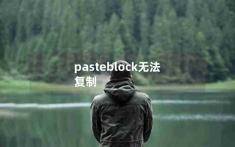 pasteblock无法复制 pasteblock无法复制