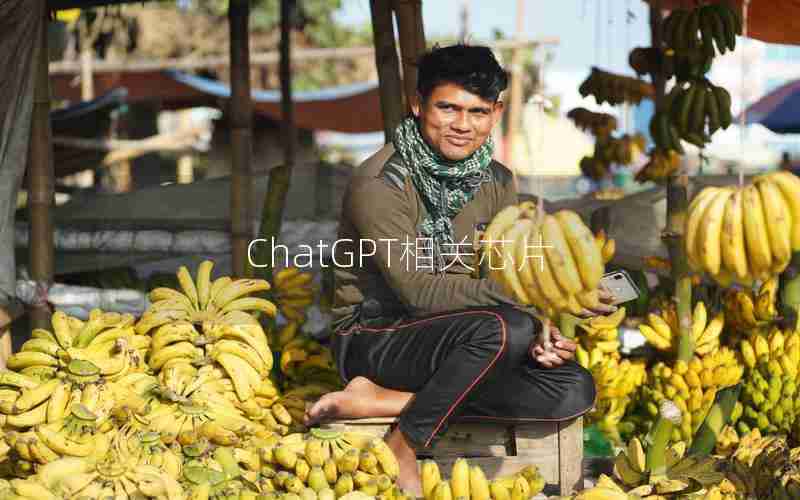 ChatGPT相关芯片 ChatGPT相关芯片