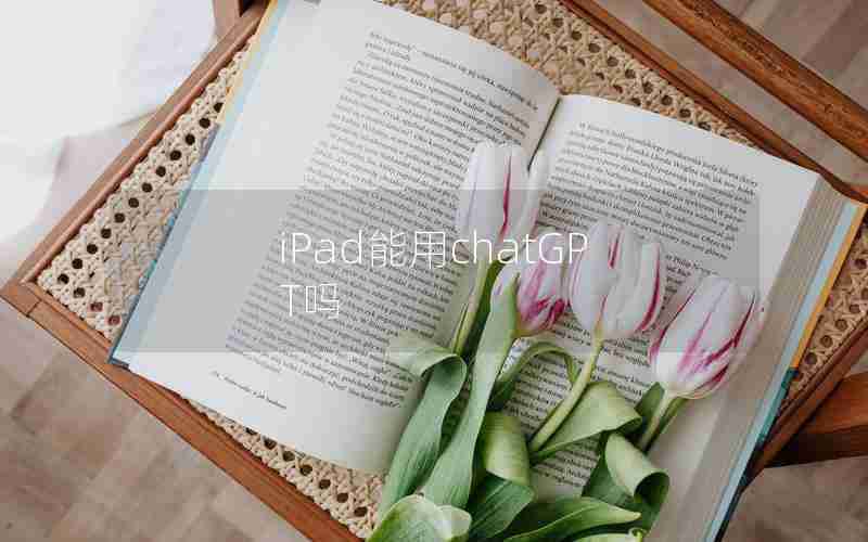 iPad能用chatGPT吗 iPad能用chatGPT吗