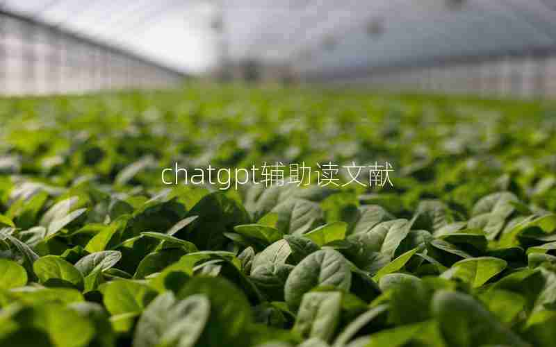 chatgpt辅助读文献