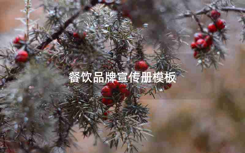 餐饮品牌宣传册模板 餐饮品牌宣传册模板