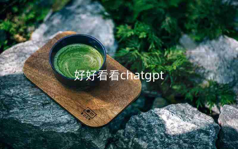 好好看看chatgpt
