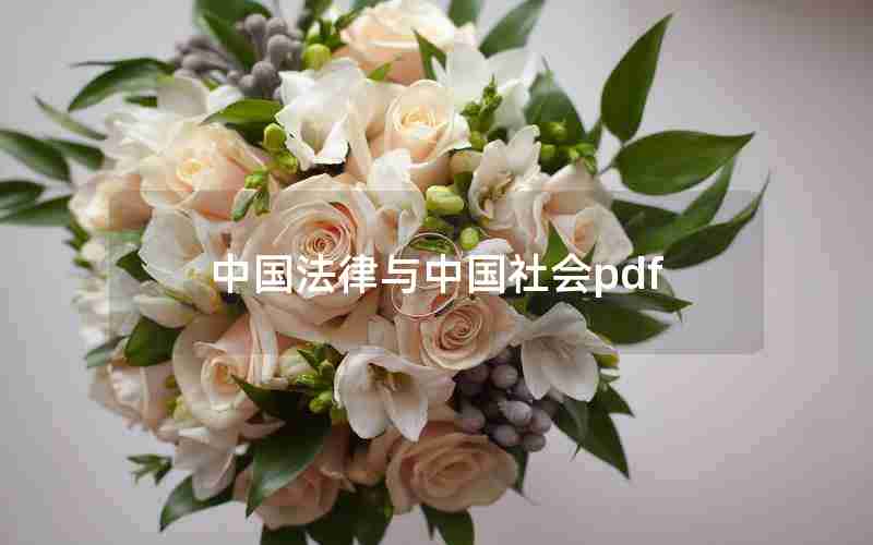 中国法律与中国社会pdf