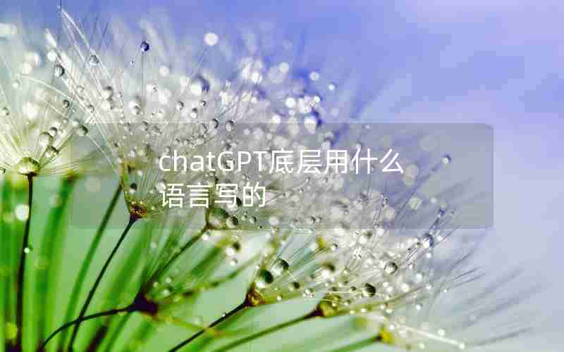 chatGPT底层用什么语言写的