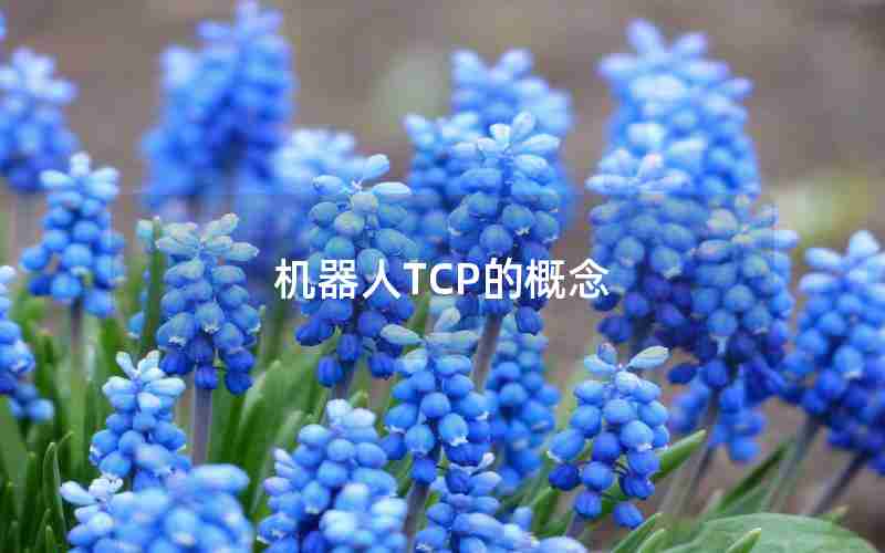 机器人TCP的概念