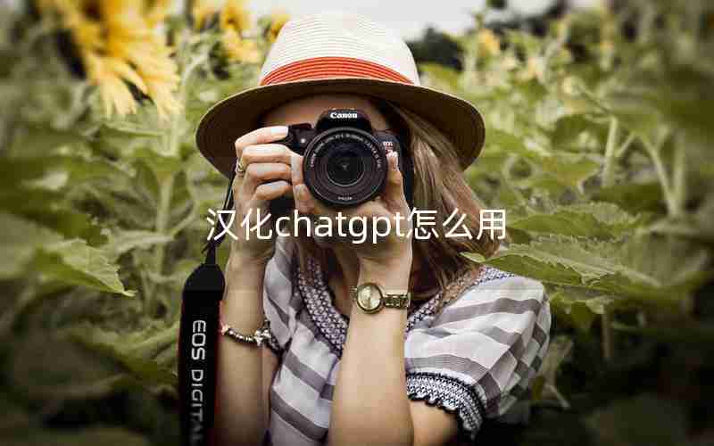 汉化chatgpt怎么用 汉化chatgpt怎么用