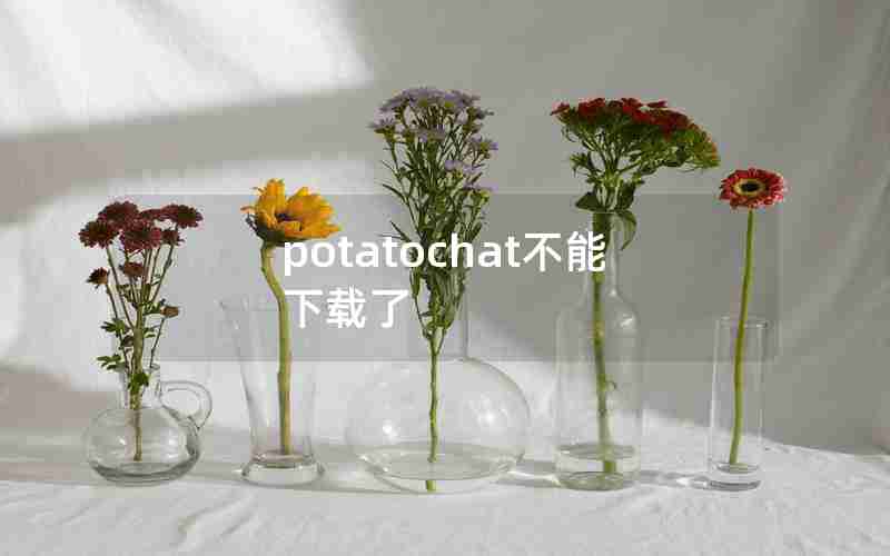 potatochat不能下载了 potatochat不能下载了