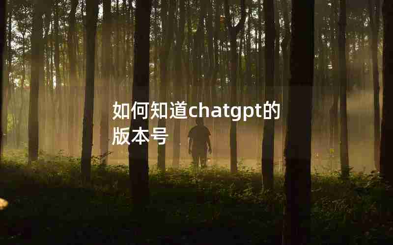 如何知道chatgpt的版本号 如何知道chatgpt的版本号