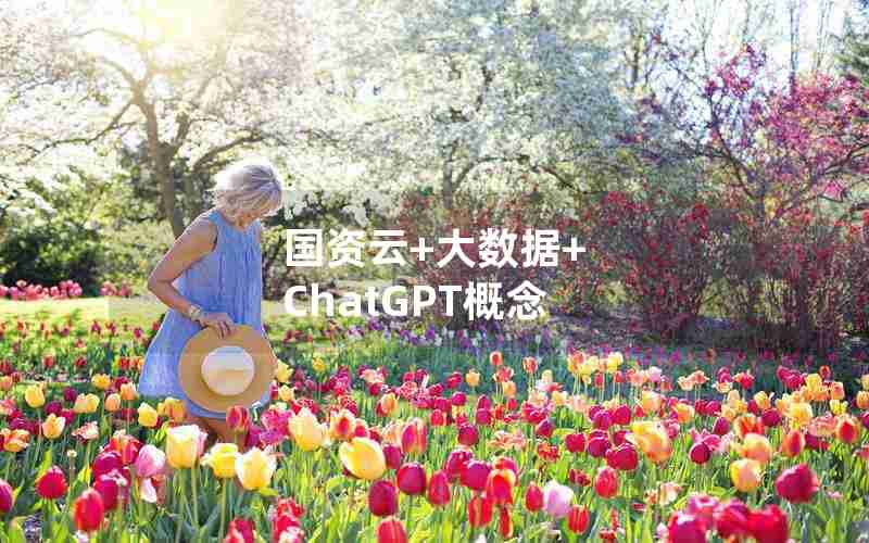 国资云+大数据+ ChatGPT概念