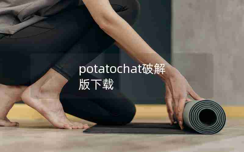 potatochat破解版下载