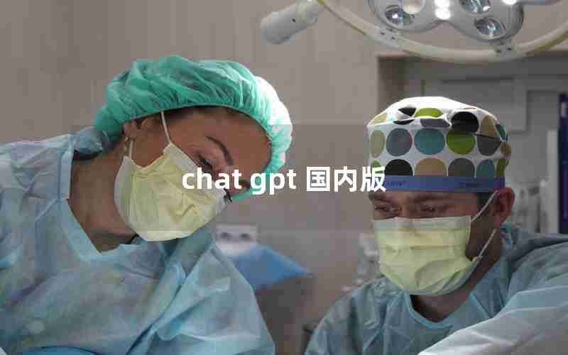 chat gpt 国内版 chat gpt 国内版