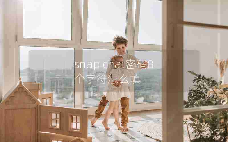 snap chat密码8个字符怎么填 snap chat密码8个字符怎么填