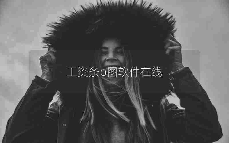 工资条p图软件在线