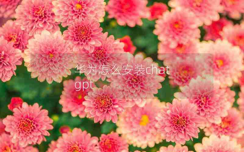 华为怎么安装chat gpt