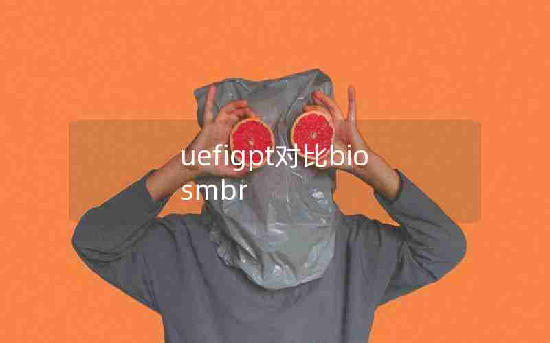 uefigpt对比biosmbr