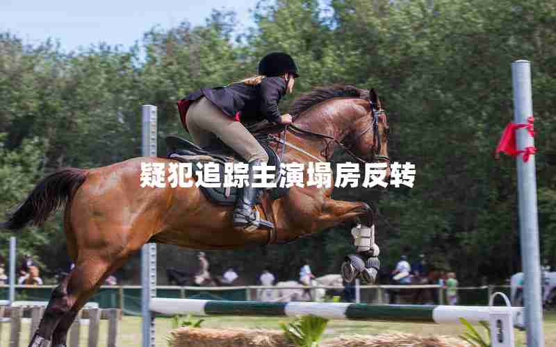 疑犯追踪主演塌房反转