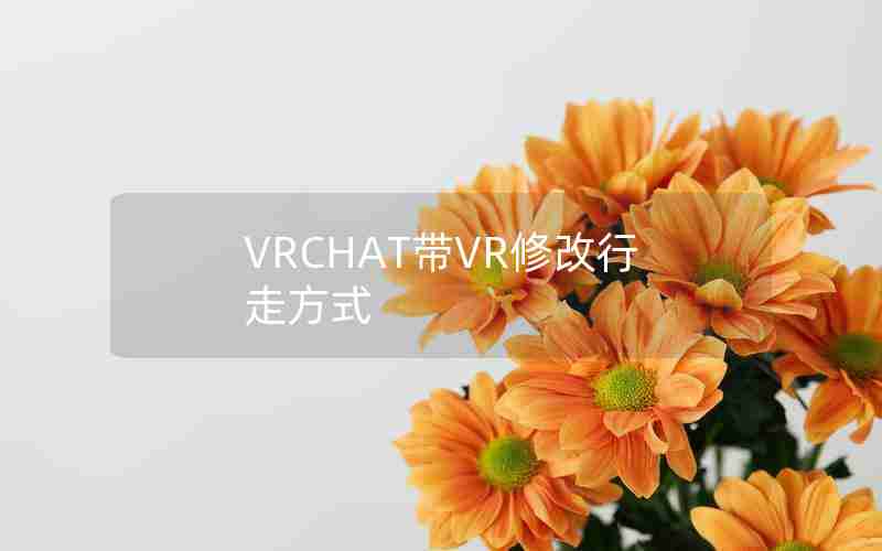 VRCHAT带VR修改行走方式 VRCHAT带VR修改行走方式