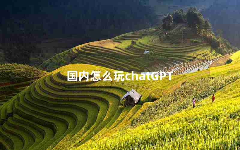 国内怎么玩chatGPT 国内怎么玩chatGPT
