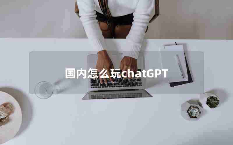 国内怎么玩chatGPT