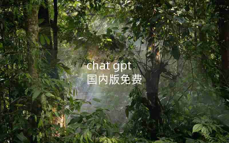 chat gpt 国内版免费 chat gpt 国内版免费