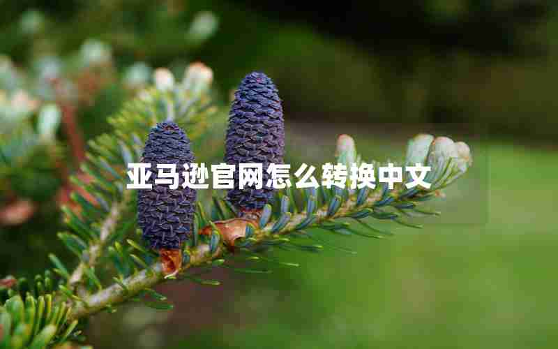 亚马逊官网怎么转换中文