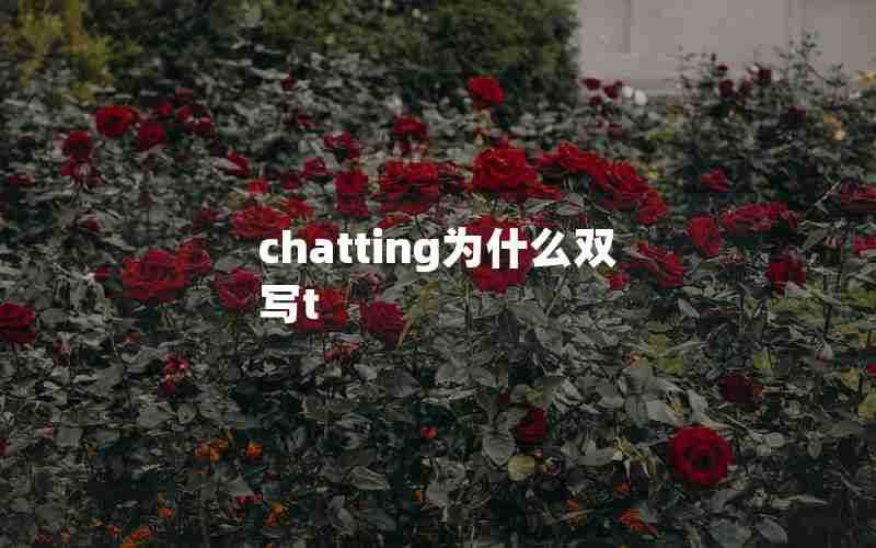 chatting为什么双写t chatting为什么双写t
