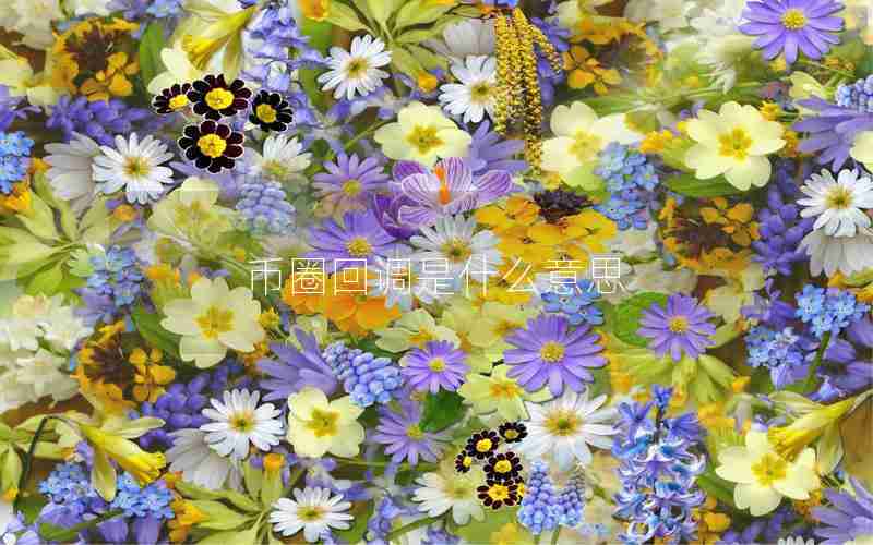 币圈回调是什么意思