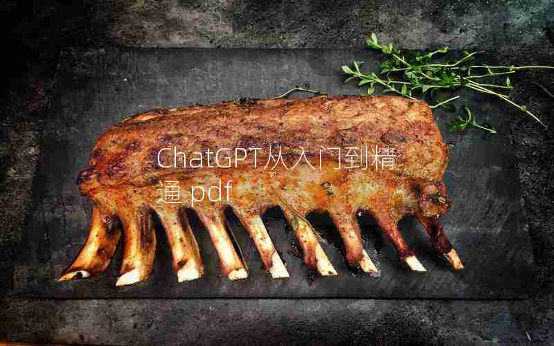 ChatGPT从入门到精通 pdf