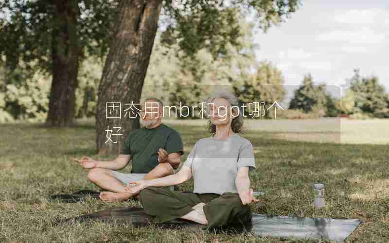 固态用mbr和gpt哪个好 固态用mbr和gpt哪个好