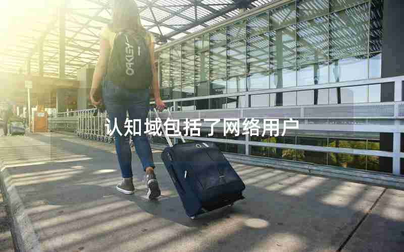 认知域包括了网络用户