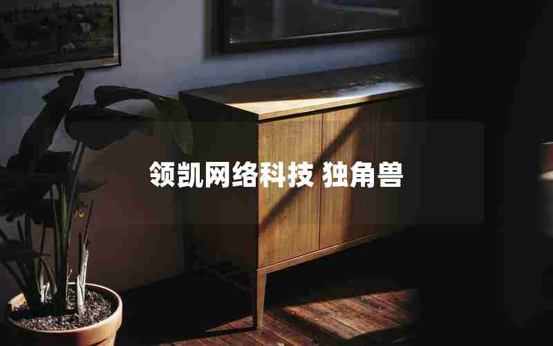 领凯网络科技 独角兽