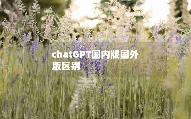 chatGPT国内版国外版区别