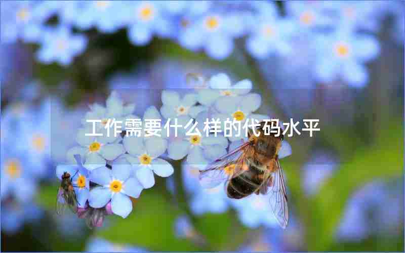 工作需要什么样的代码水平 工作需要什么样的代码水平