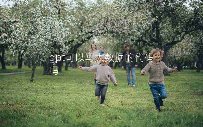 gpt可以写大数据的代码吗 gpt可以写大数据的代码吗