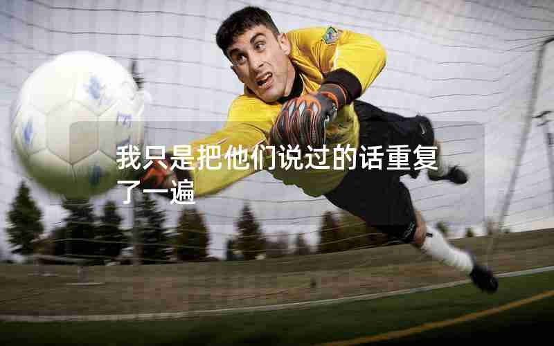 我只是把他们说过的话重复了一遍