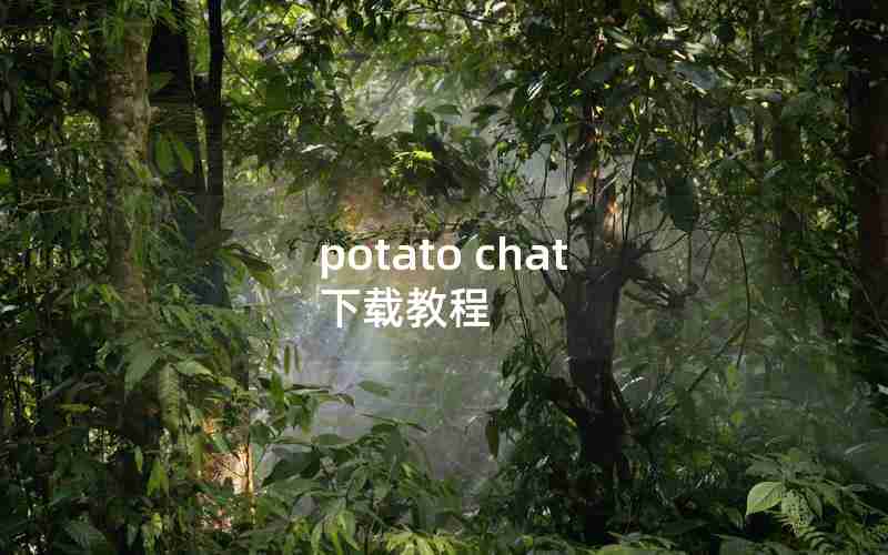 potato chat 下载教程